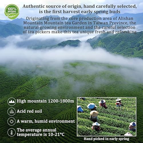 Miniatura 2 de XIXICHA Alishan Oolong Tea Hoja suelta Grado AAA Taiwán Té de alta montaña Taiwán Té Gaoshan Ulong Té Taiwán Té verde Taiwán Té Oolong verde Taiwán