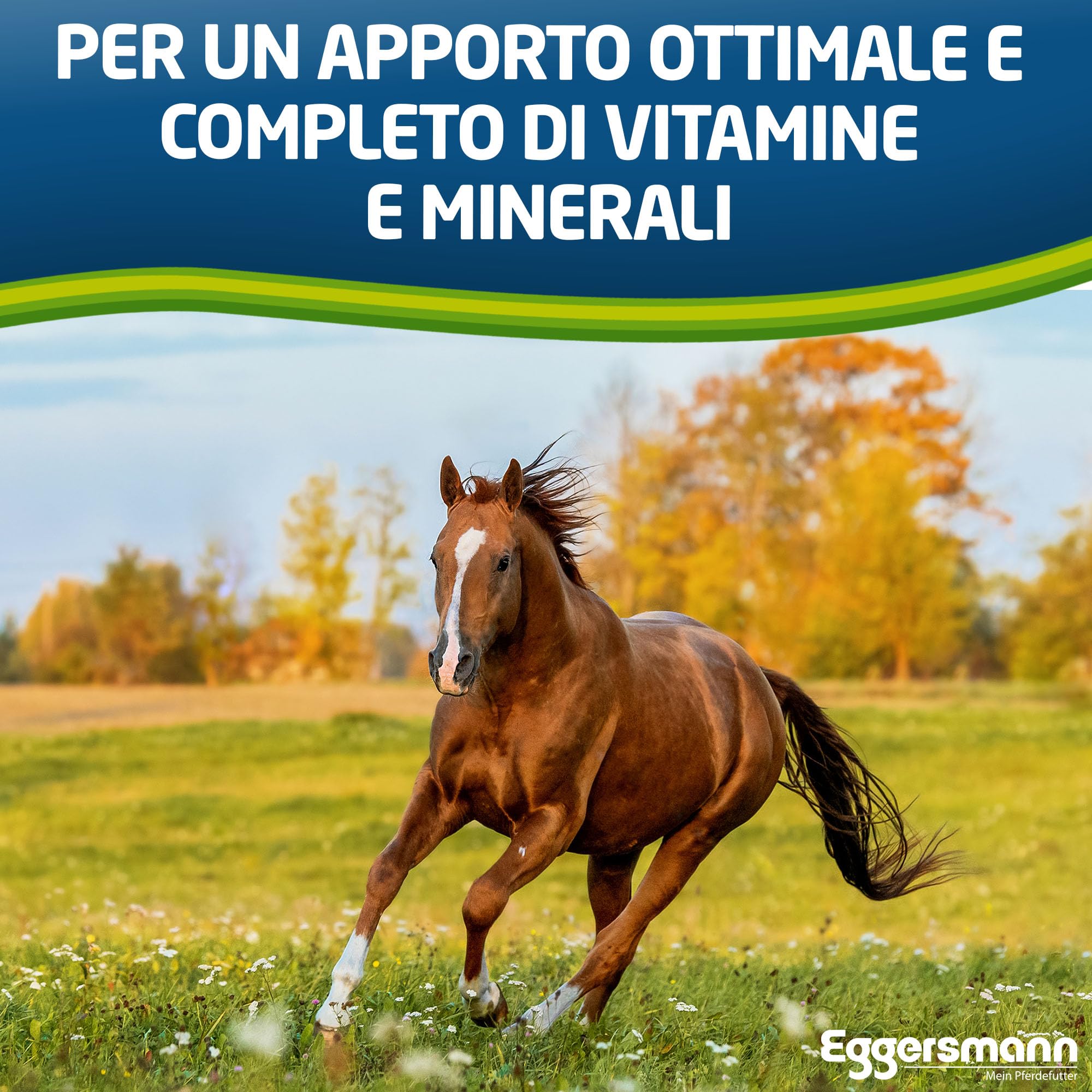 Eggersmann Mein Pferdefutter Horse Vital Plus 4 kg - Mangime Minerale per Cavalli di Tutti i Tipi - Mangime per Cavalli Ricco di vitamine per Una Fornitura ottimale a Tutto Tondo - per completare Il