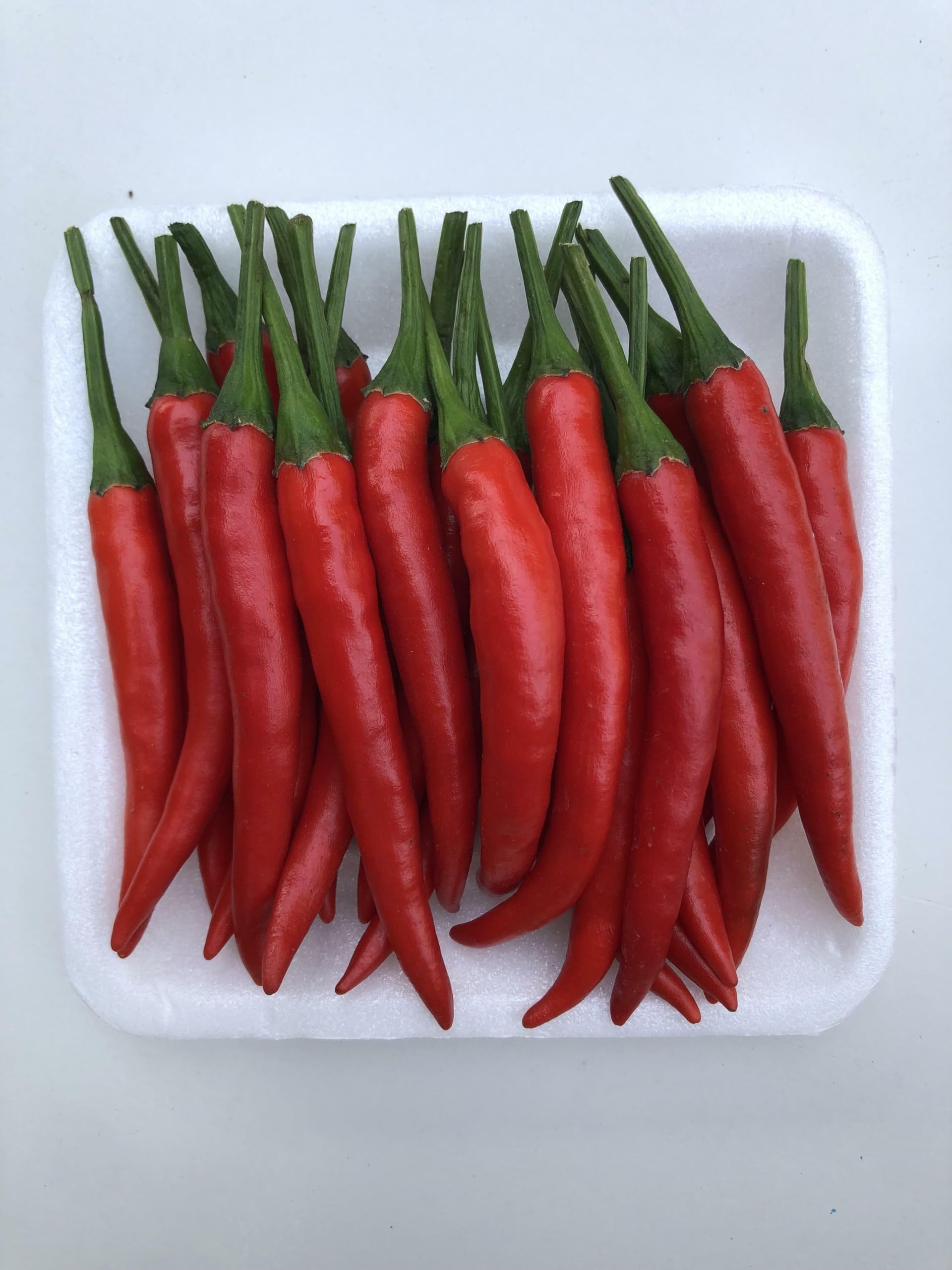 Willvine Thai Premium Red Chilli-GBPUT-3P-image-46