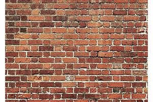 AIIKES 7x5FT Red Brick Wall Backdrop for Photography and Video Recording