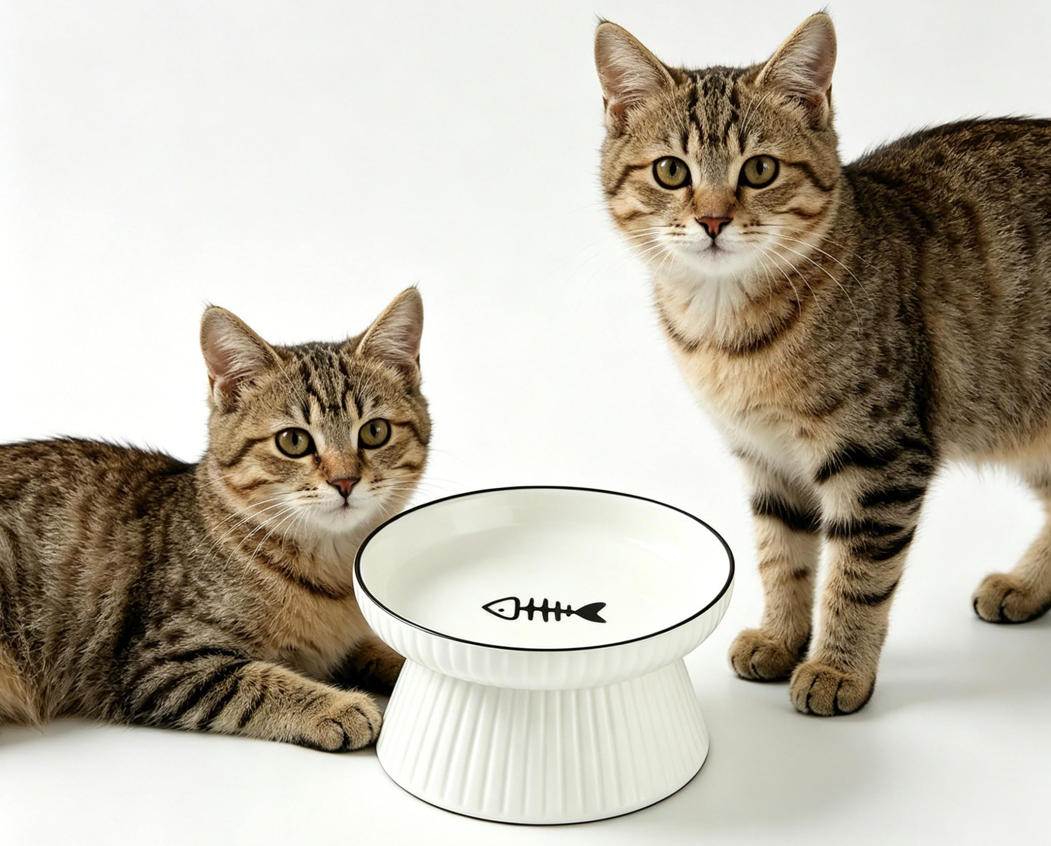 Elevated Cat Bowl, Raised Ceramic Cat Food Dish for Healthy Feeding, Anti-Vomit Shallow Wide Bowl, Heavy Duty Non-Slip Pet Bowl for Comfortable Eating