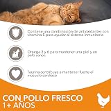 Ver la foto 3