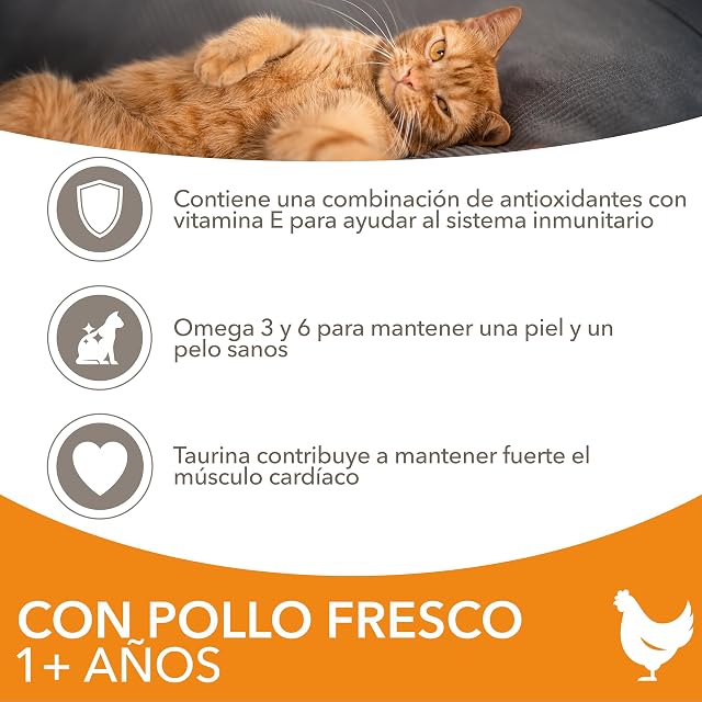 Foto 3 de 7 de IAMS Alimento Seco para Gatos Adultos con Pollo Fresco, 3 kg