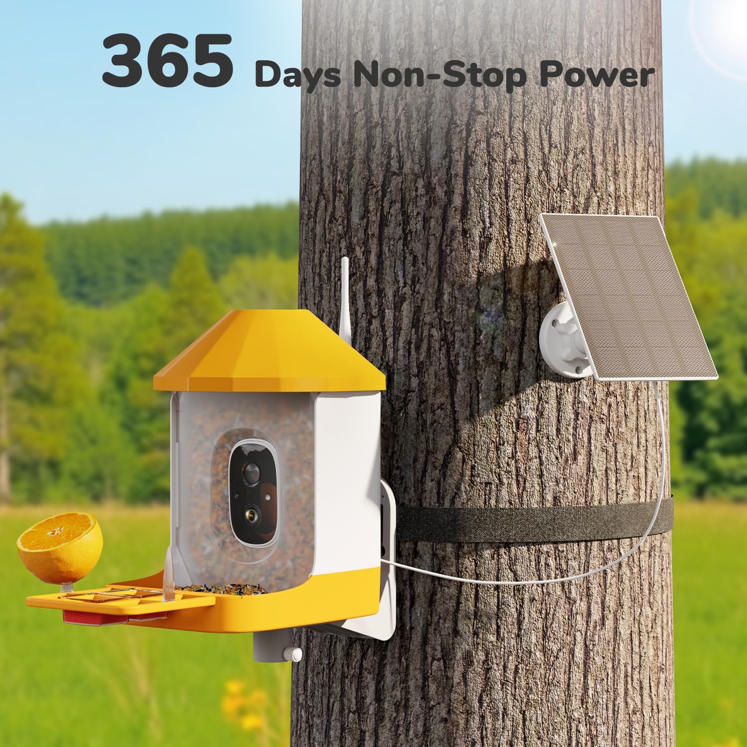 Dzees Smart Bird Feeder with Camera, 32G Card, AI Identify Birds Species, Capture Video, Instant Notifications, Live View, Solar Powered, for Family, Ideal Gifts for Bird Lovers