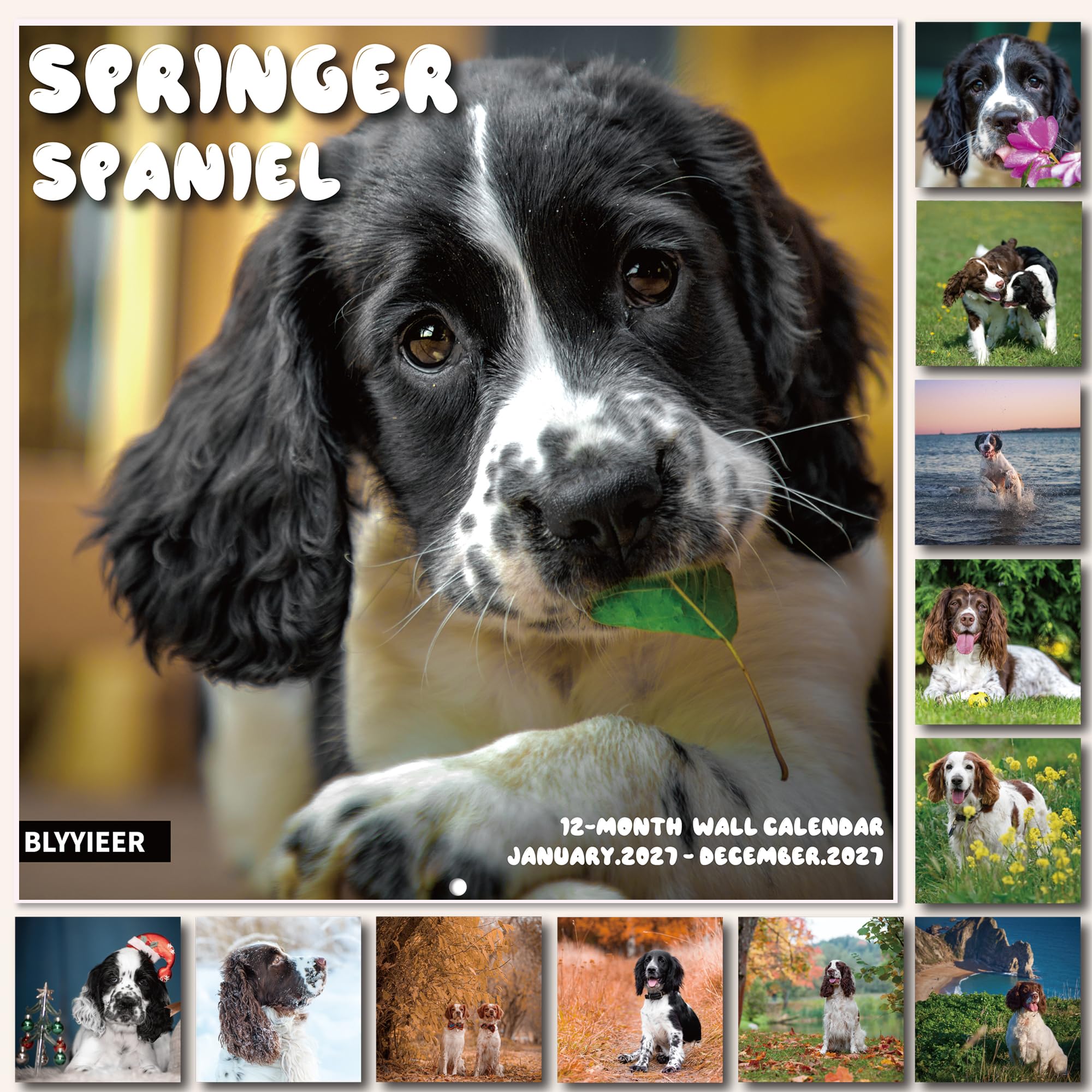 2027 Wall Calendar, Springer Spaniel Wall Calendar, 12" x 24" Open, Family Planner Calendar Organizer with dog Images, for Dogs Lovers