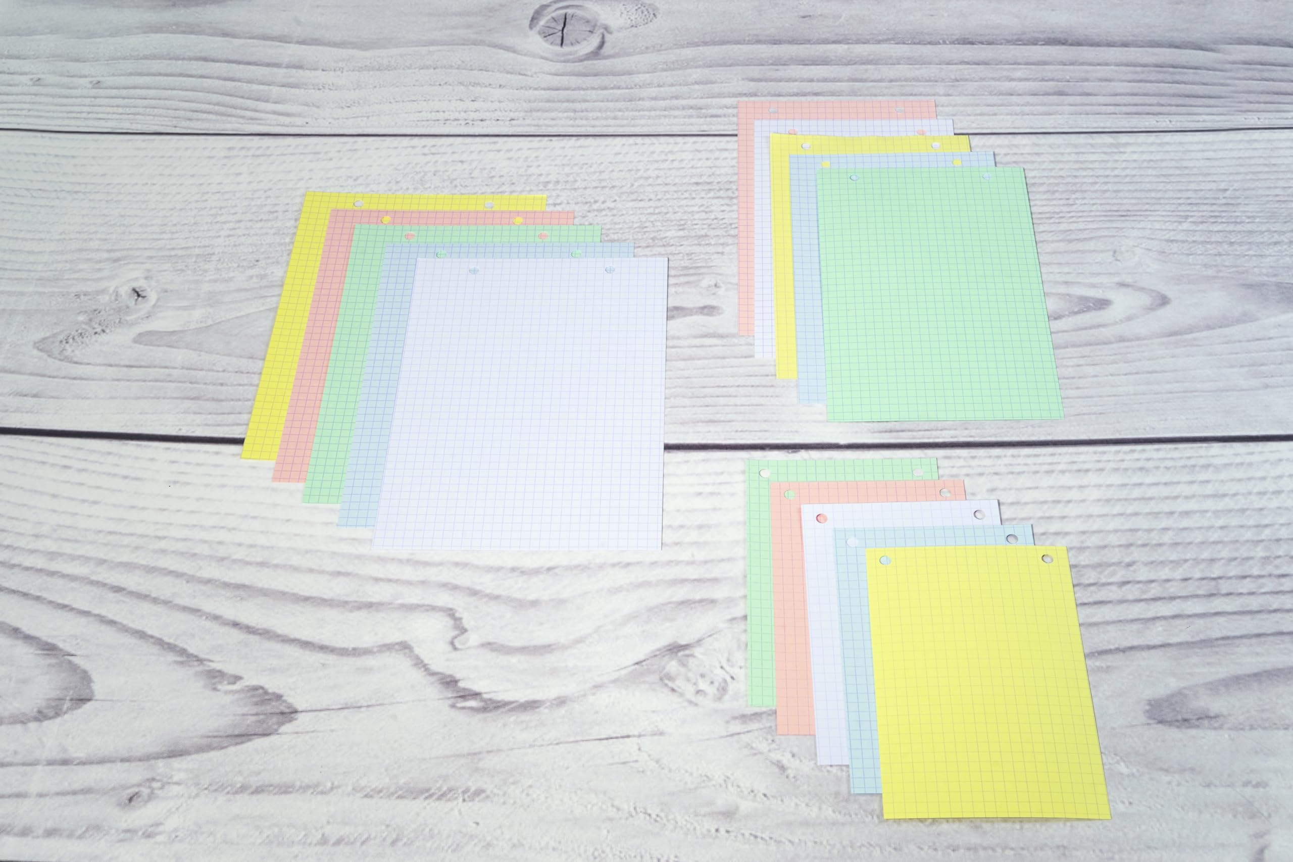 Exacompta 10 Custodie 100 Schede 5x5 Forate 148x210mm Assortite