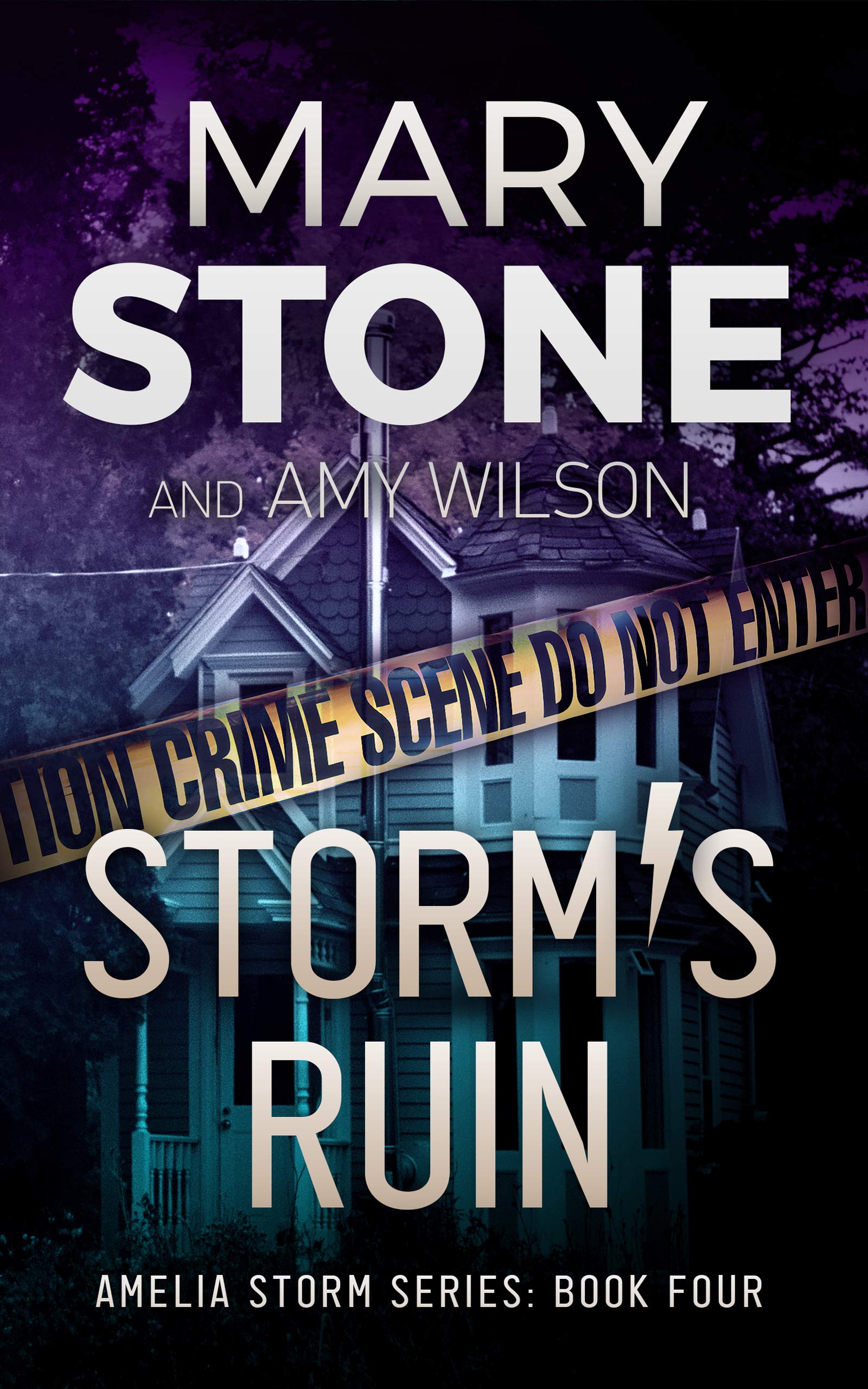 Storm's Ruin (Amelia Storm FBI Mystery Series Book 4)