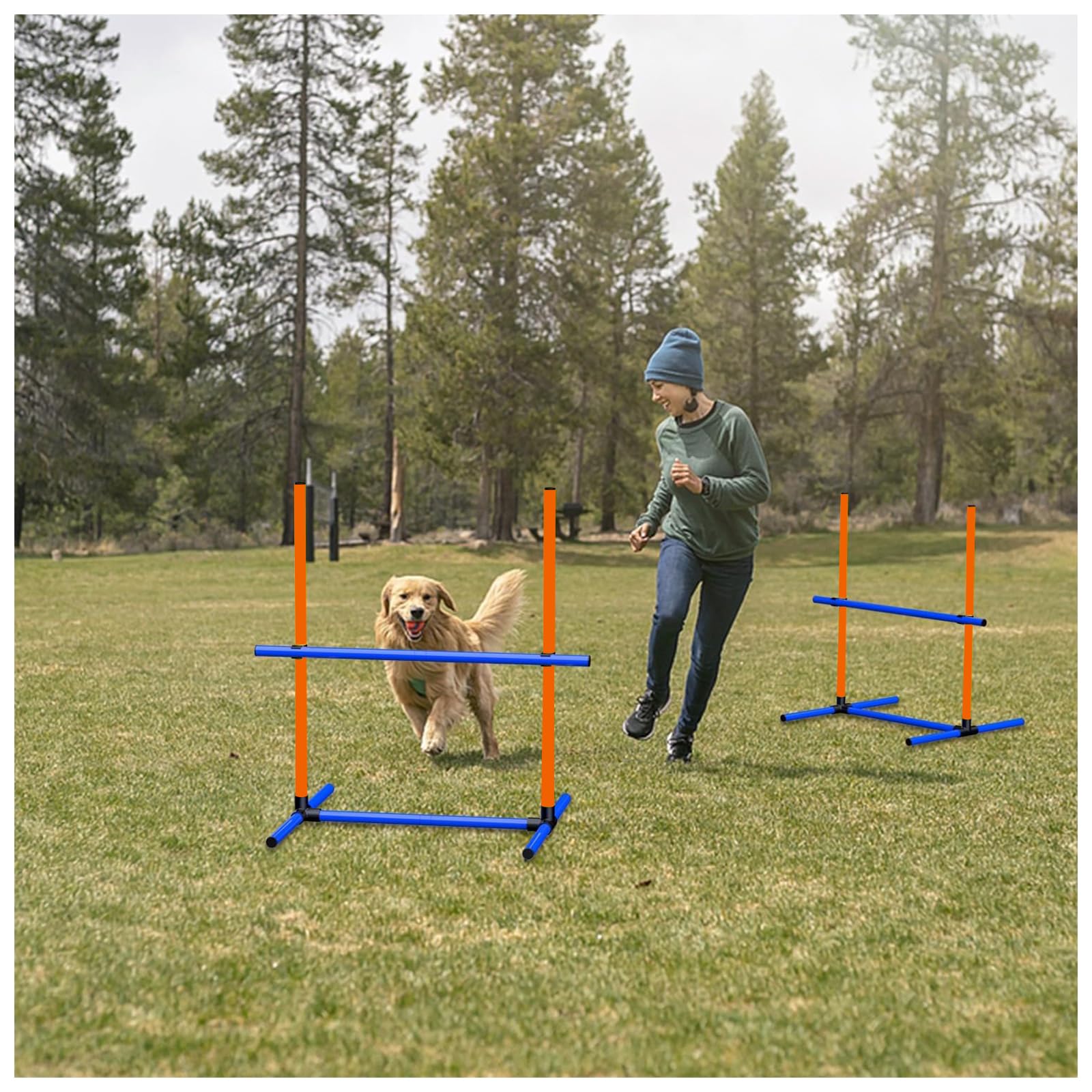 Agility Set Hunde Hürdenset Ausrüstung für Hundetraining mit 6 x Hürden Höhenverstellbar