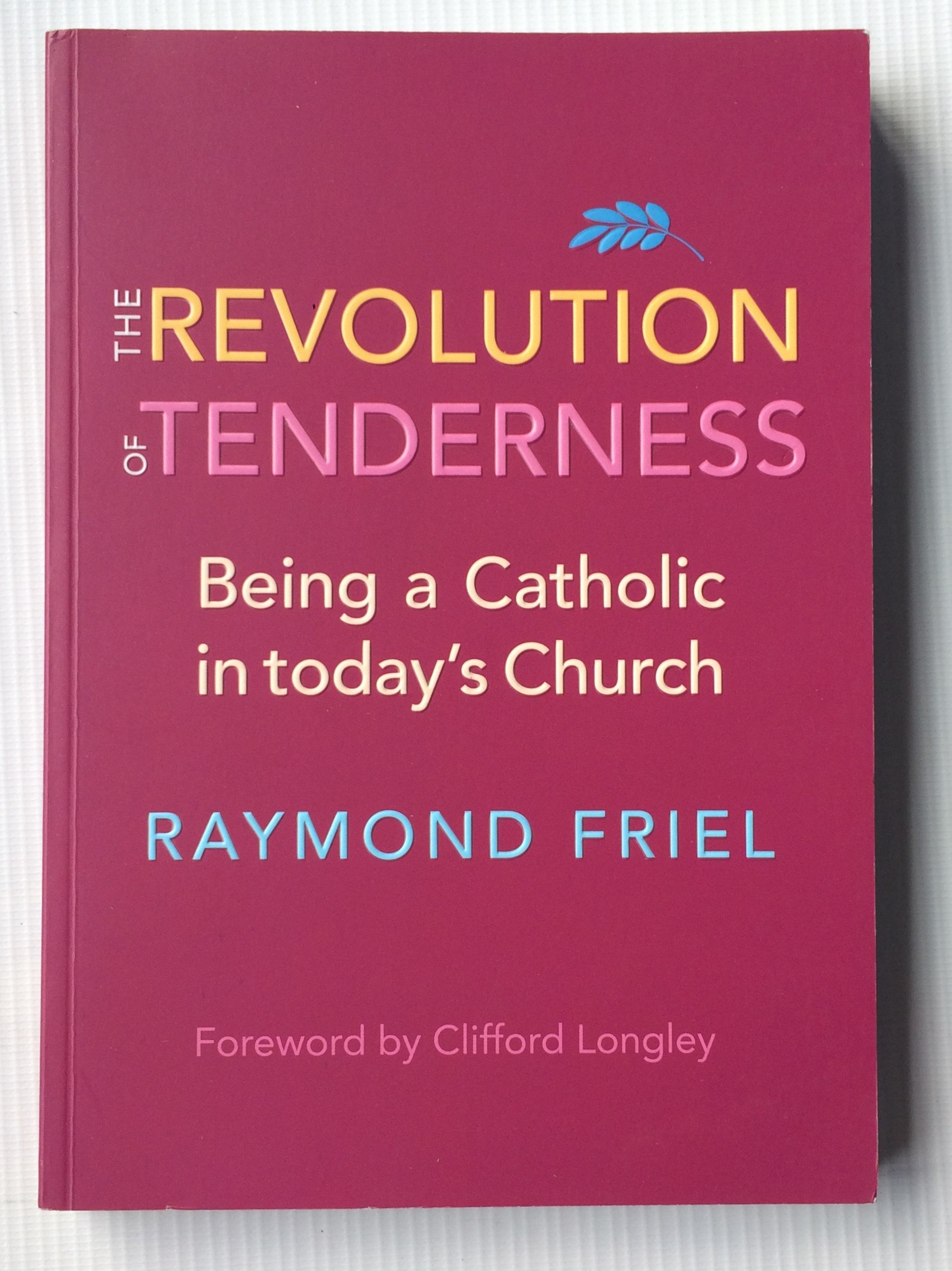 The Revolution of Tenderness: Being a Catholic in Today's Church