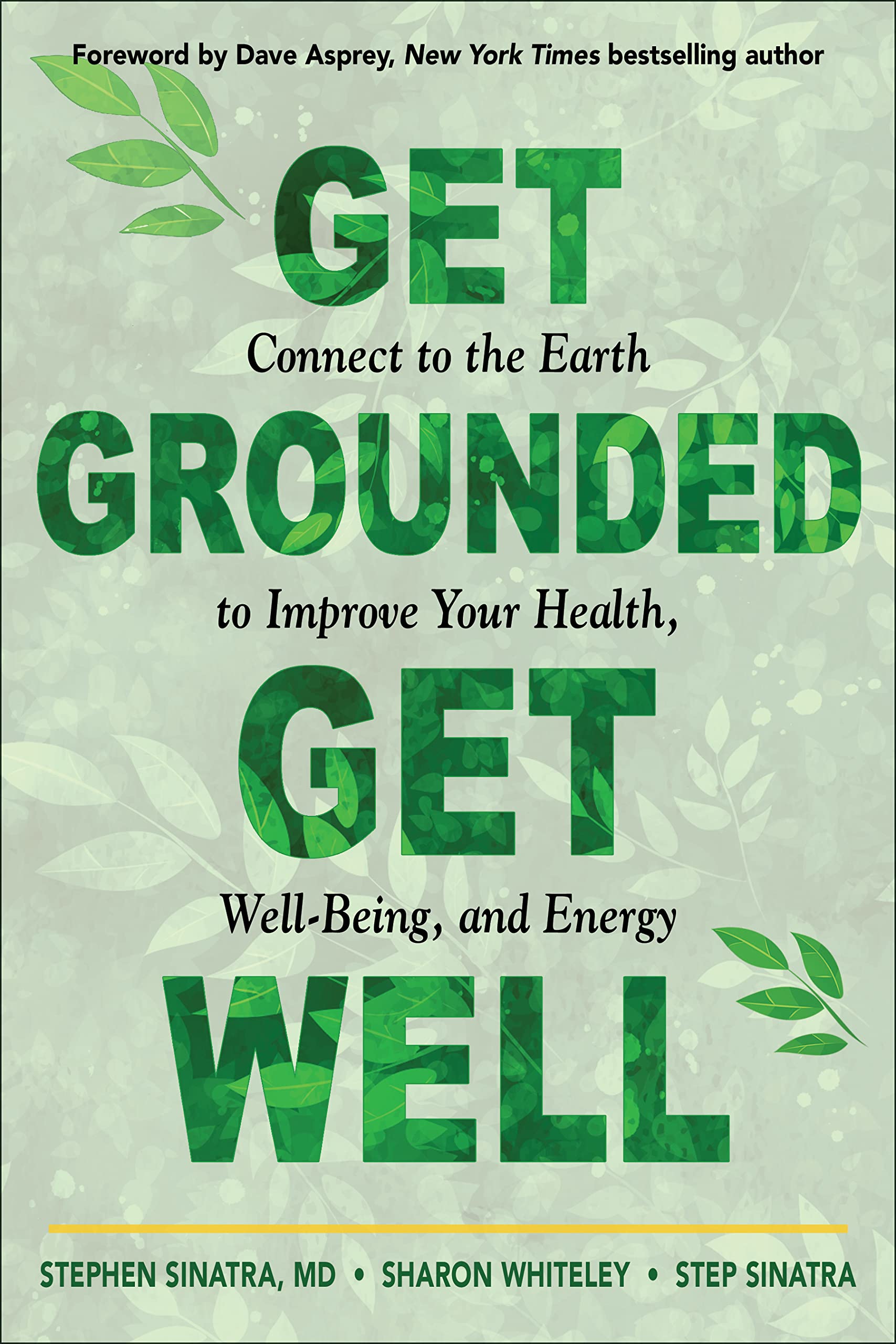 Get Grounded, Get Well by Stephen T. Sinatra, Sharon Whiteley... - 9781642970487