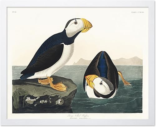 Miniatura 58 de Poster Master Póster vintage de colibríes, impresión de formas de arte retro en la naturaleza, arte de pájaros, regalo para él, ella y amante de los