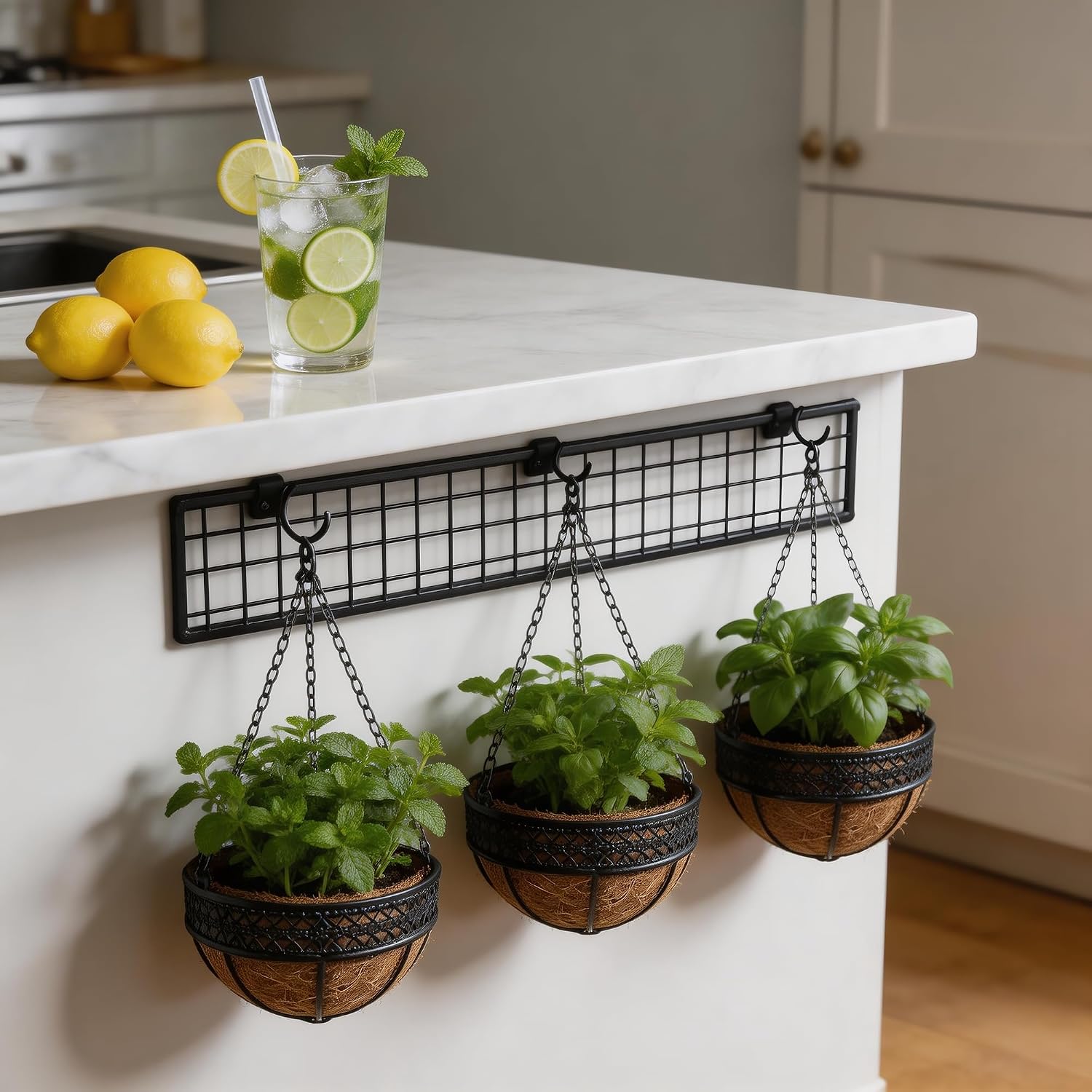 LX7 3-Pack Hanging & Wall-Mounted Plant Baskets with Natural Coconut Fiber Liner, Decorative Planters for Home Garden Patio Yard (3Pack EXPHanger, 10Inch)