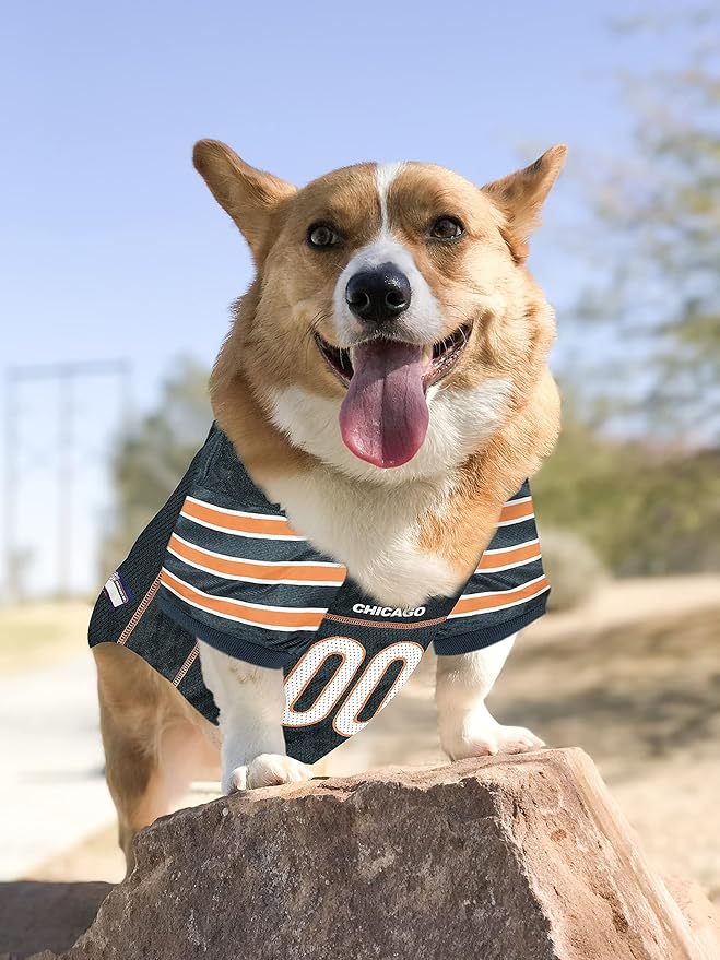 nfl dog apparel