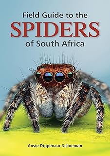 Field Guide to the Spiders of South Africa