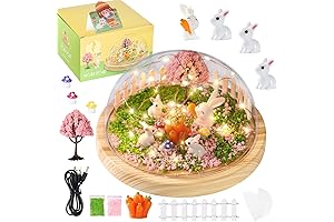 Lights by Little Hands: Creativity Crafts for Kids with Bunny DIY Kits