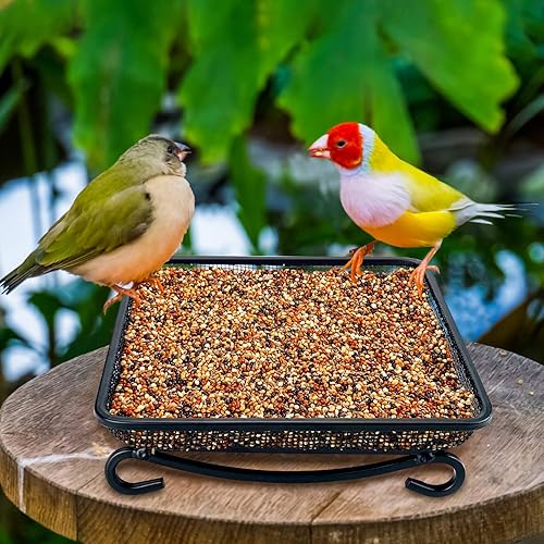 Miniatura 2 de MIXXIDEA Bandeja de comedero de pájaros de tierra, bandeja de semillas de malla de metal para comederos de pájaros, gran decoración de jardín para