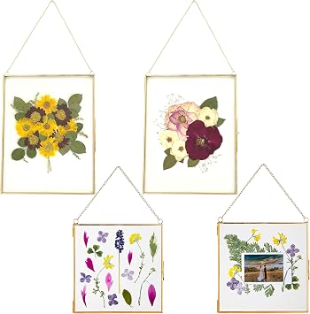 Gold Double Glass Frame Bundle 2 Large 11x14 + 2 Small 6x6 Hanging Frames for Pressed Flowers, Photos & Art, Floating Tempered Glass Wall Display with Chains