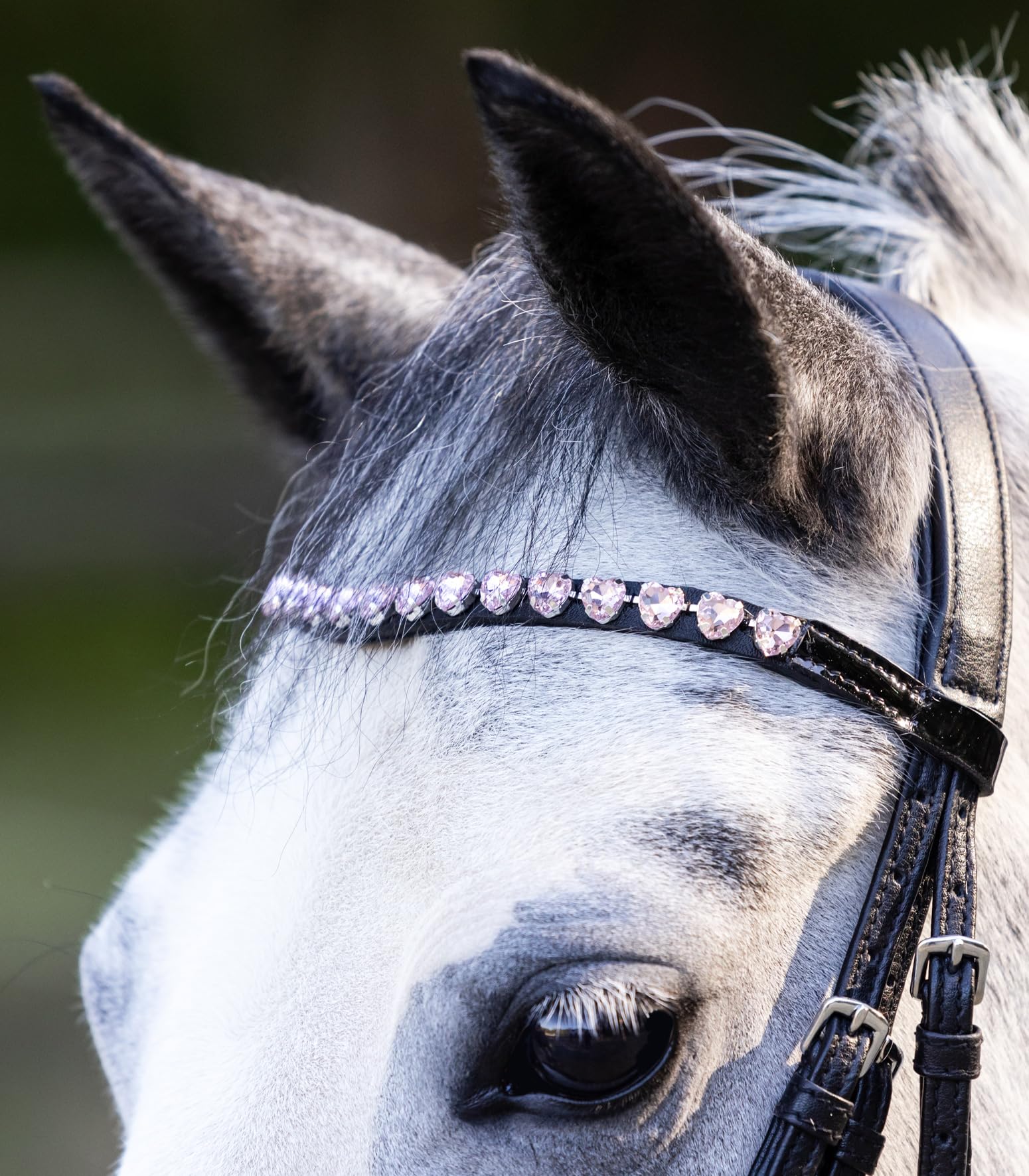 WALDHAUSEN Trensenzaum Happy Hearts, schwarz, Shetty