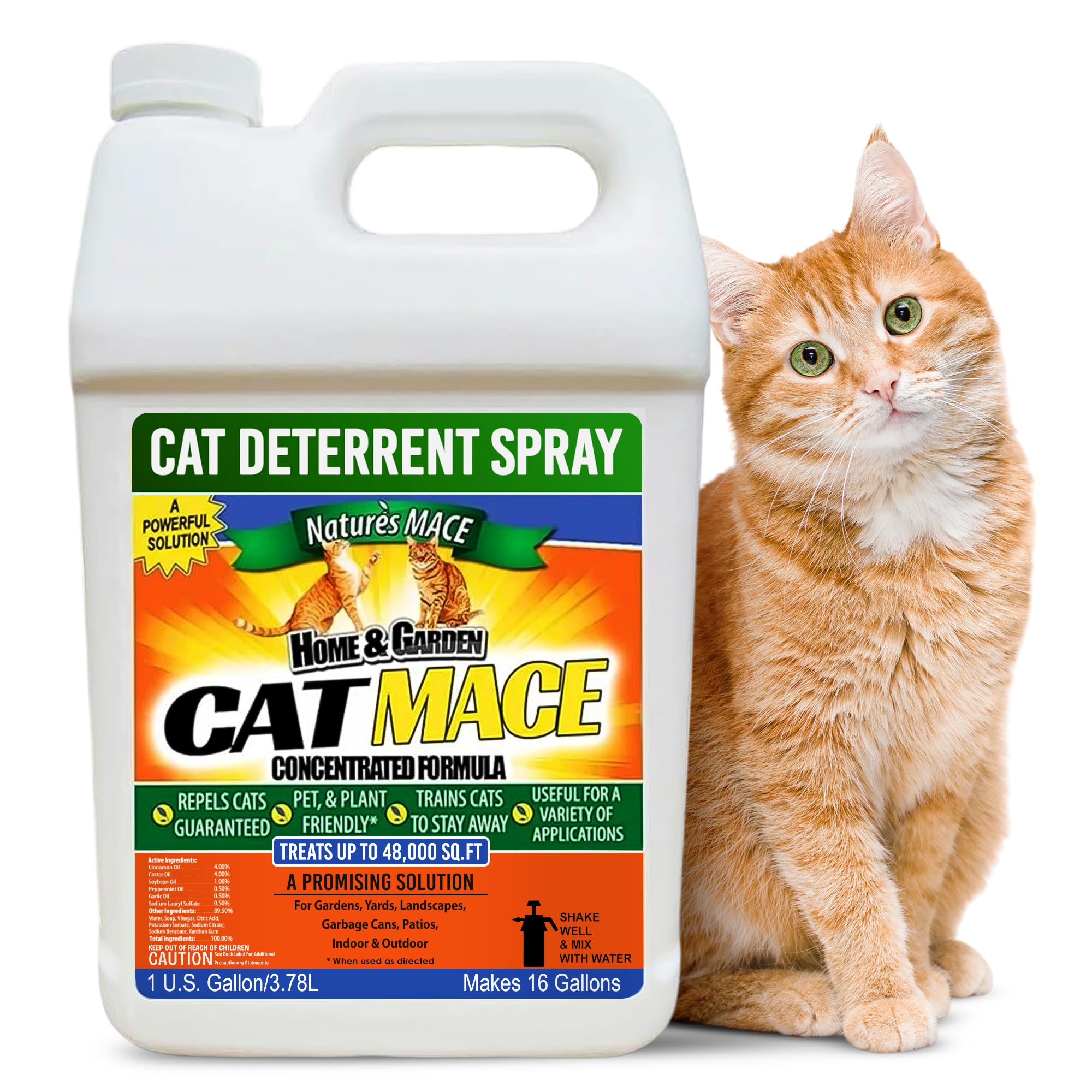 Nature's MACE Cat Mace Cat Repellent, Training Liquid Deterrent Tool, Makes 16 Gallons, Keep Out of Lawn & Garden, Large Areas, Outdoor & Indoor Use, Yards, Landscaped, Plants, 1 Gallon Concentrate
