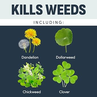 Image Weed Killer Targeted Control Foam for Lawns, 15 oz., Easy-to-Use, Just Point and Spray, Fast Acting Formula Kills Dandelions, Chickweed, Clover and Much More, Wont Harm Grass