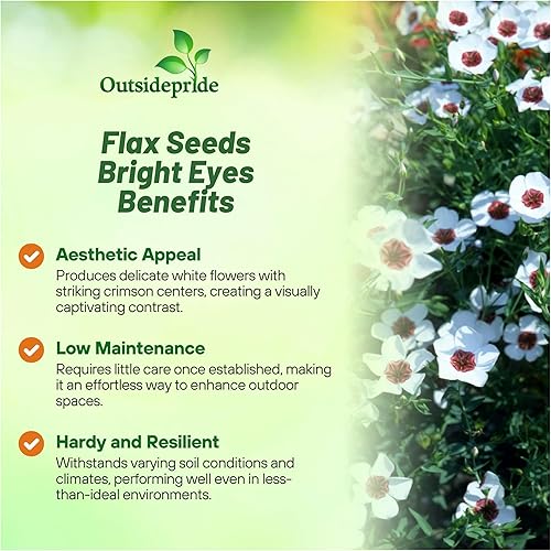 Miniatura 3 de Outsidepride Bright Eyes - Semillas de lino blanco  1000 semillas anuales de flores para plantar, auto-siembra, tolerantes a la sequía con