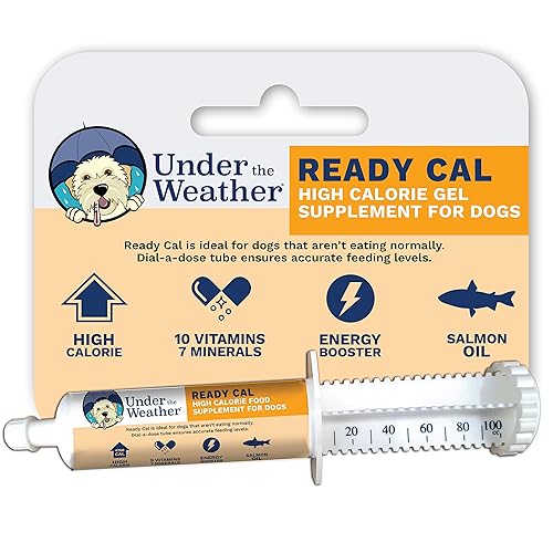 Under the Weather Pet | Ready Cal for Dogs 100cc