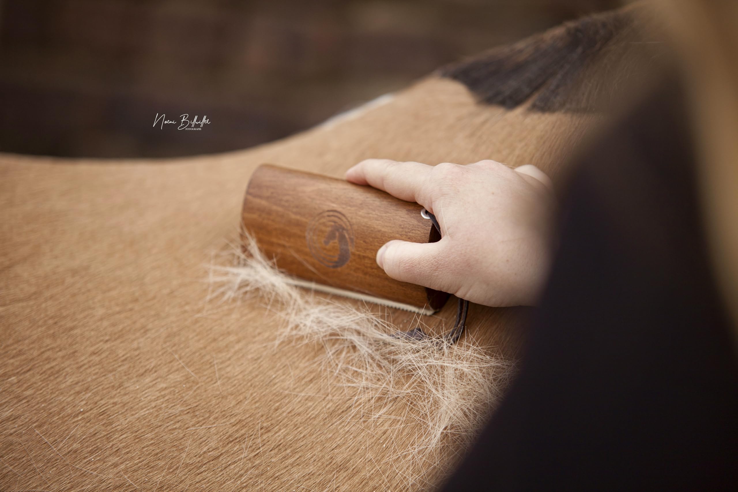 Rastrillo de muda – para caballos y perros | Elimina pelo muerto y subpelo | Suave con animales sensibles | 100 % madera natural | Herramienta eficaz para el cuidado del pelaje