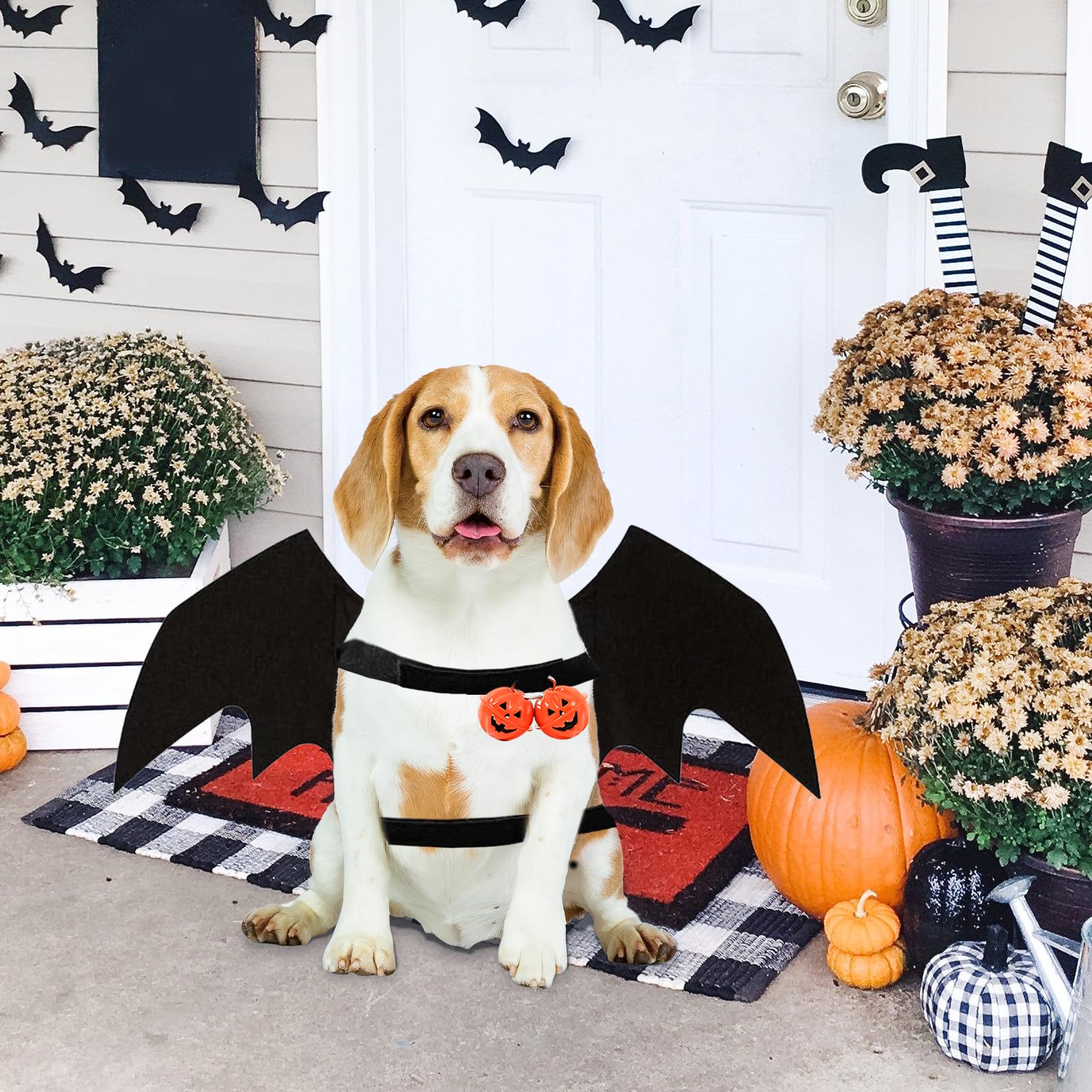 Costume da Pipistrello Halloween per Cane Gatto Nero Regolabile con Campana