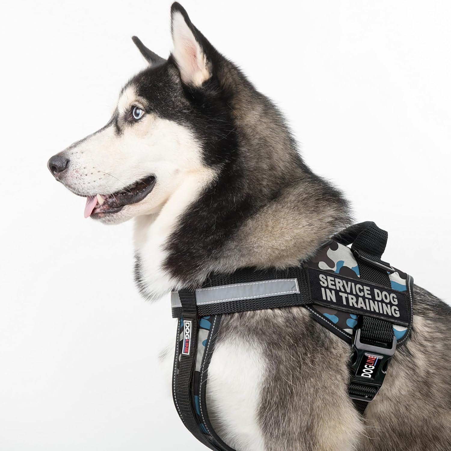Dogline Unimax Dog Harness Vest with Service Dog in Training Patches Adjustable Straps Breathable Neoprene for Identification Training Dogs Girth 22 to 30 in Blue Camo