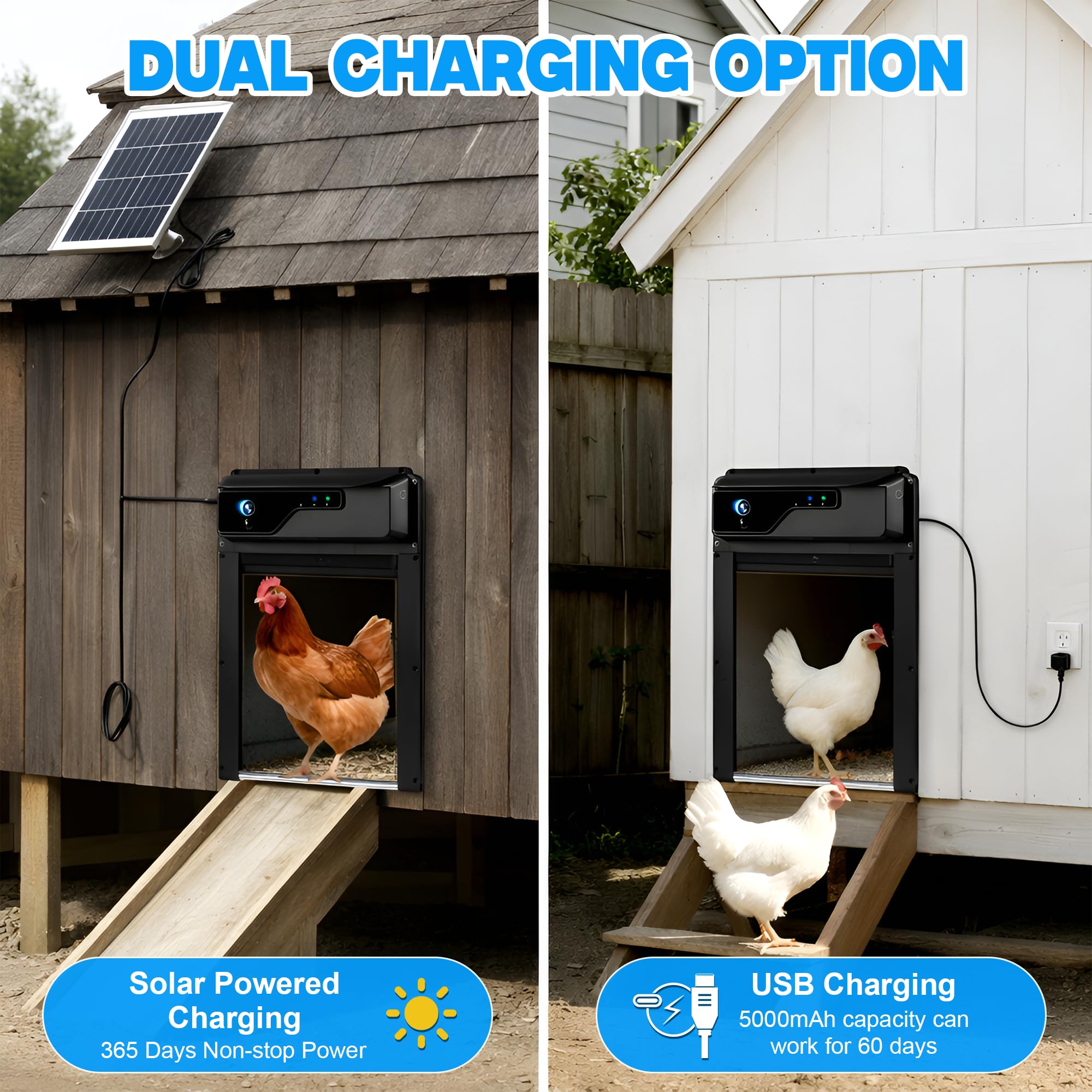 Automatic Solar Chicken Coop Door with Camera 1080P HD, Remote Night Vision Motion Detector Safety Mechanism - 8W Chicken Coop Door Battery Powered 5000 mAh - Predator Protected Automatic Gate Opener
