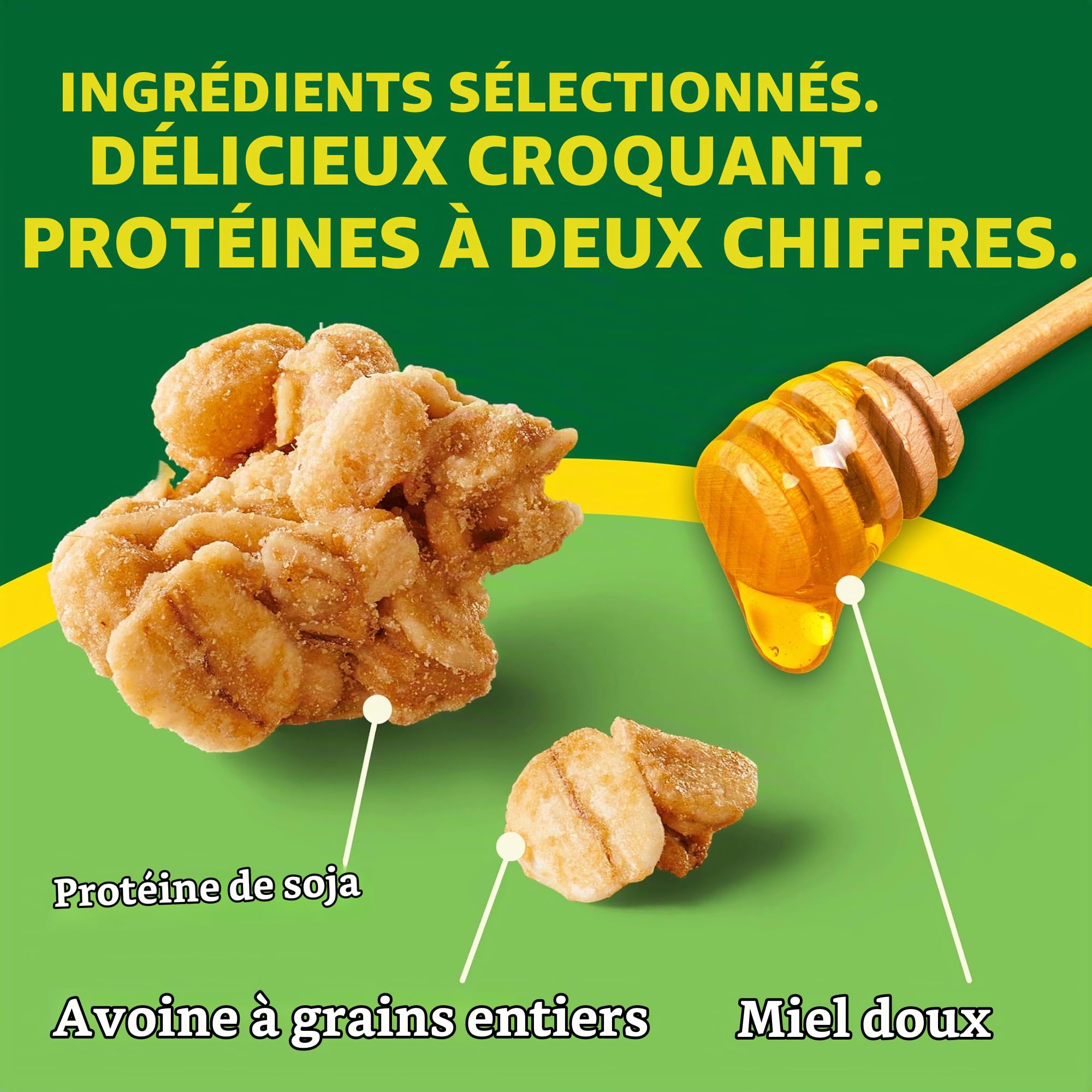 Nature Valley Granola Protein (Oats 'N Honey) 311g