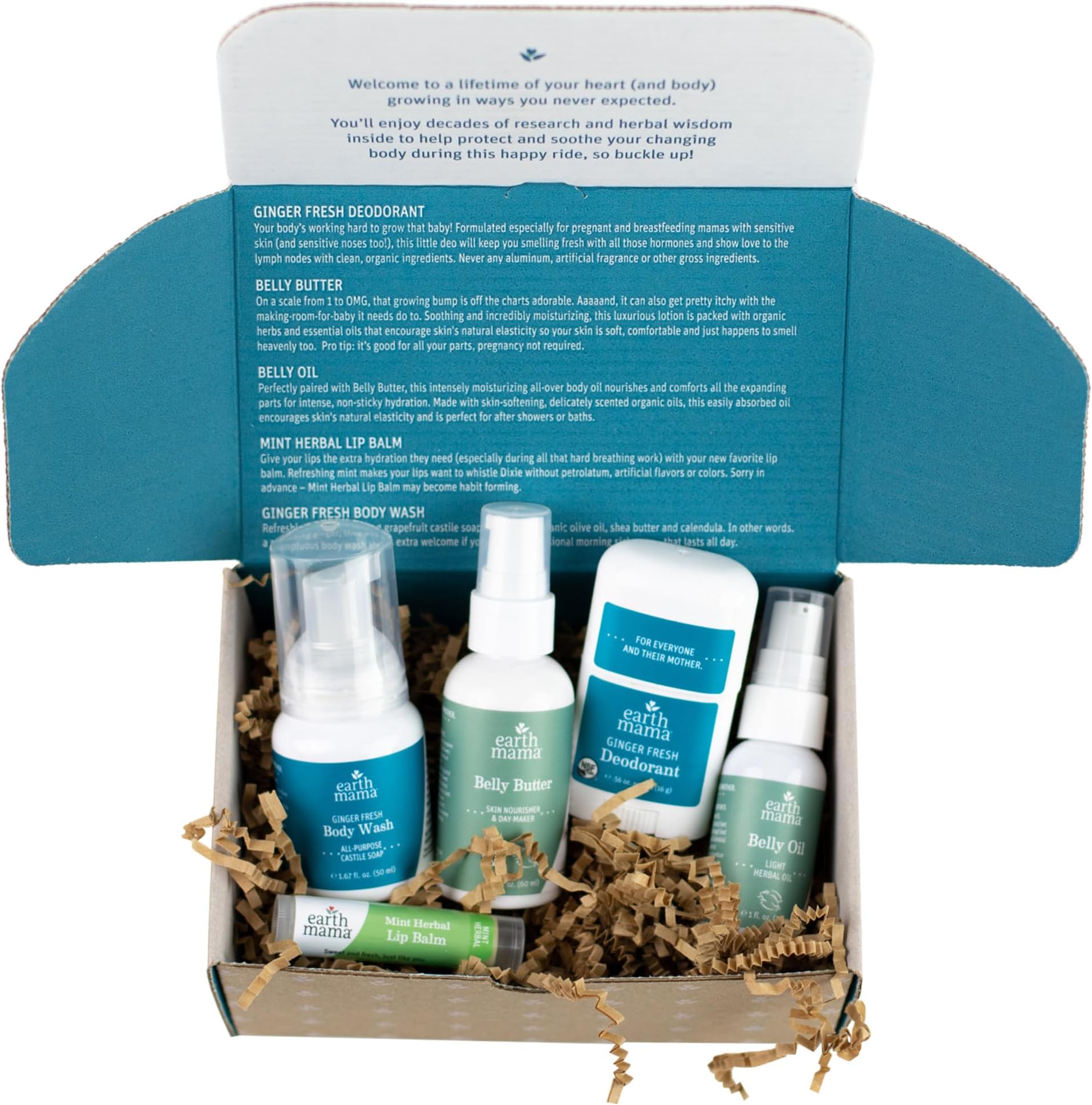 Earth Mama, A Little Something for Mama-To-Be, 5 Piece Kit