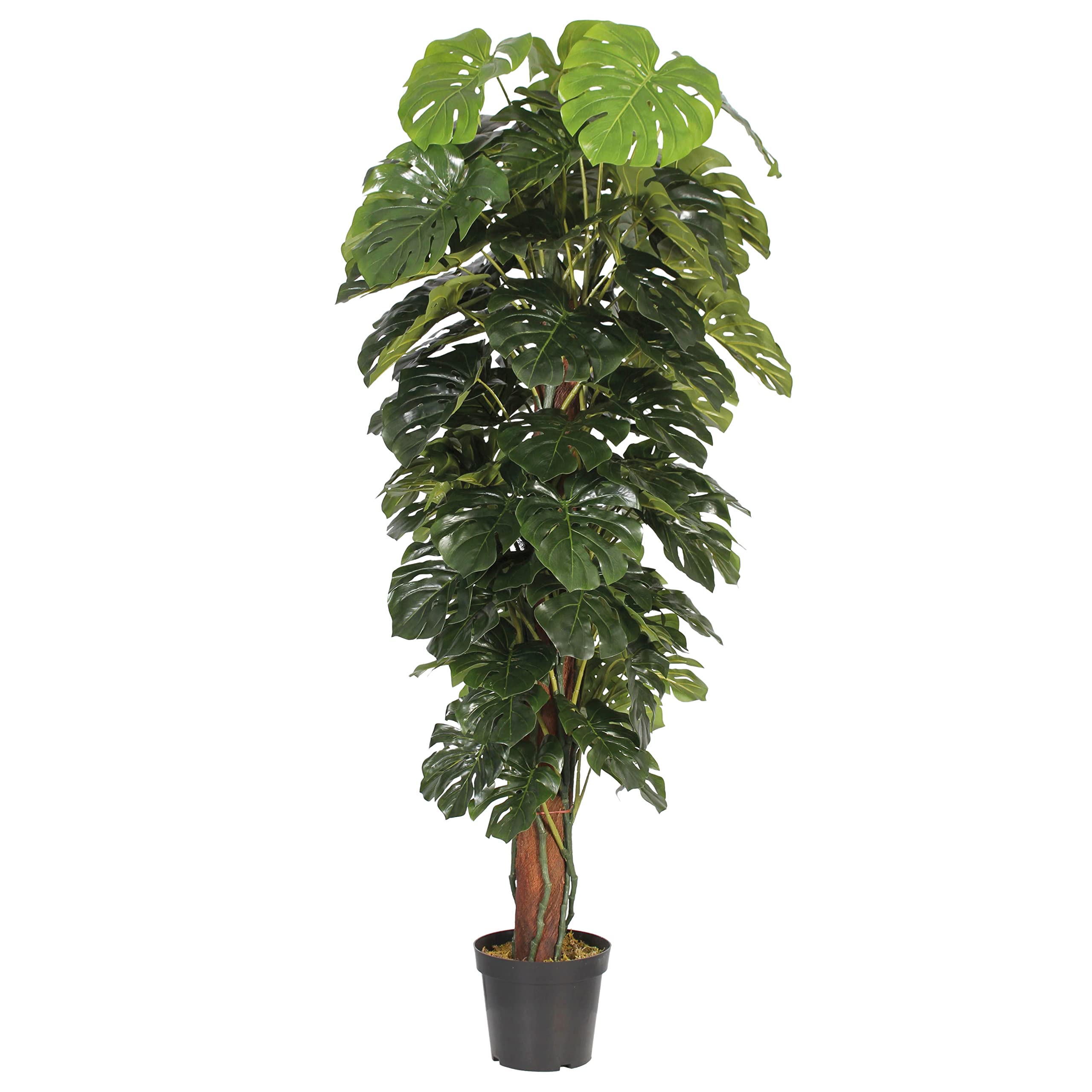 Blooming Artificial Artificial Plant, Realistic Indoor Fake Plant in Pot, Artificial Cheese Plant, Make Your Life Easier, Perfect for Bringing Life to Indoor Spaces (180cm)