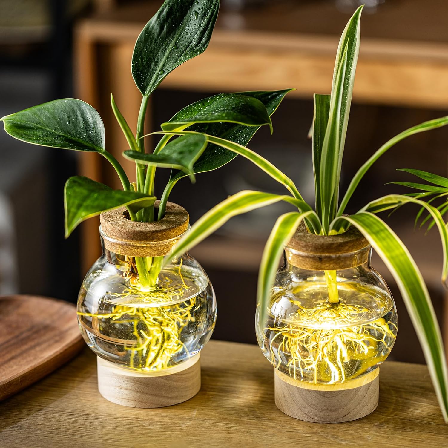 Propagation Stations, Plant Propagation Station with Light Base, Glass Propagation Vases, Hydroponic Vase for Plants, Glass Terrarium for Home Office Windowsill Tabletop Decoration (2) image 3