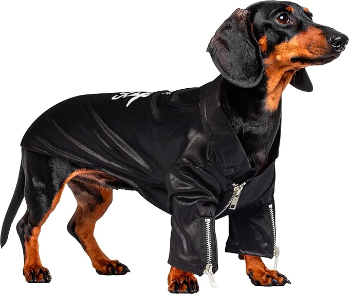 Disfraz T-Birds de Grease para Perros o Gatos, Negro, Talla L miniatura 5