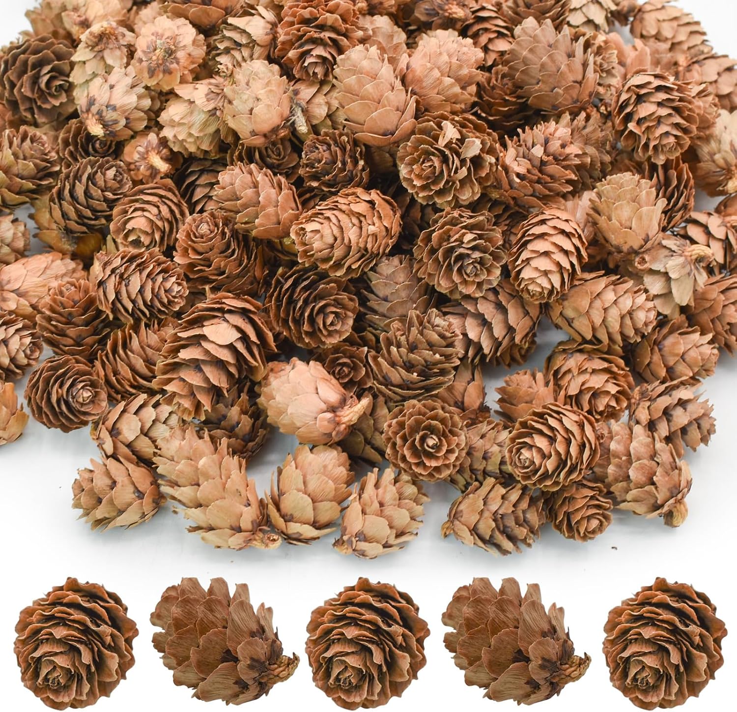 200Pcs Natural Mini Pine Cones Christmas Decoration Small Pinecones for Thanksgiving Fall Winter Wedding Vase Filler Home
