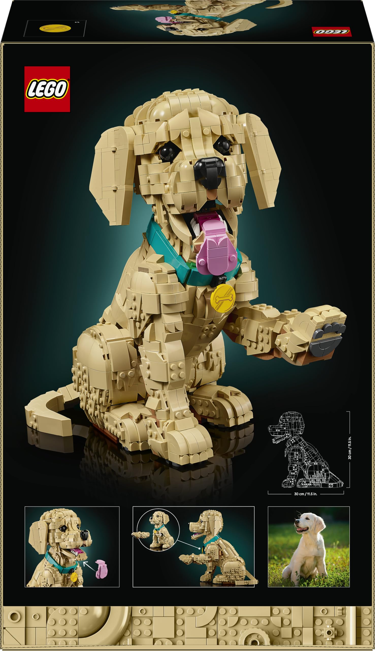 LEGO Icons Golden Retriever Welpe - Modellbau für Erwachsene - 3D Tierfigur zum Ausstellen mit Halsband & Medaille - DIY Deko für Regal oder Schreibtisch - Geschenkidee für Kunst- & Bastelfans - 11384