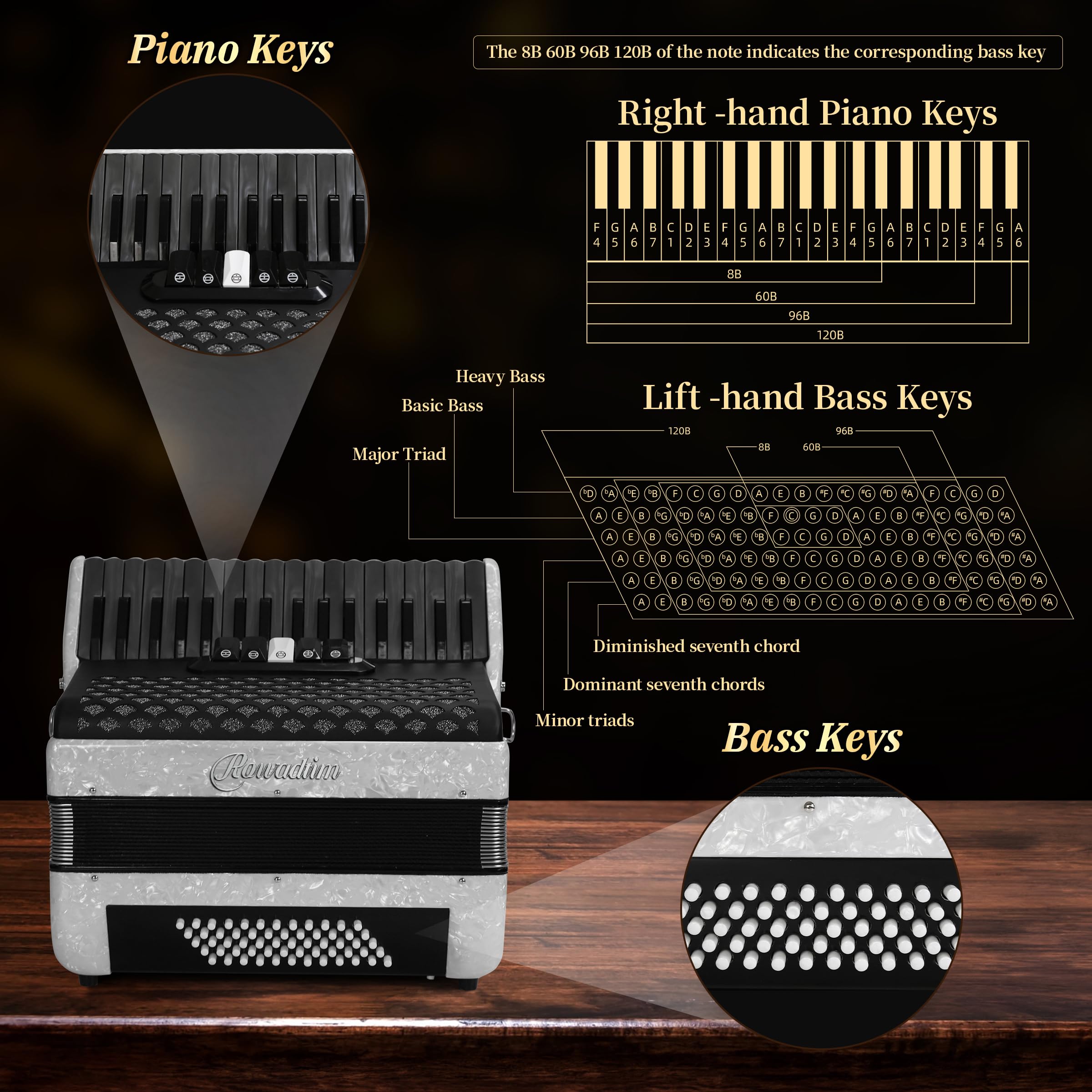 Piano acordeón de 34 teclas y 60 bajos para principiantes, profesores, estudiantes (blanco) | Tono rico; diseño ergonómico; fuelle de piel de cordero; apto para todos los niveles; diseño portátil
