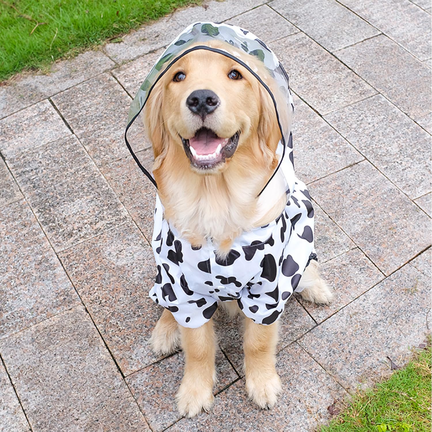 Large Dog Raincoat, Full Coverage Dog Rain Coat Hoodie, Animal Shape Waterproof Rainwear Jacket for Medium Large Dogs_5XL(Cow) - Image 4