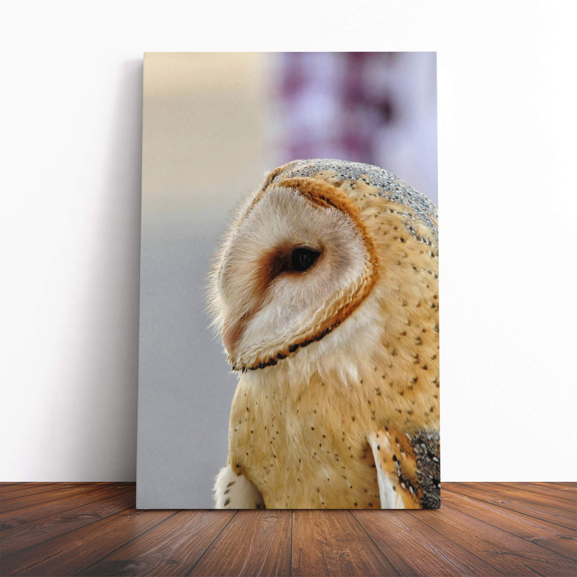 Barn Owl Bird (3) Canvas Print | Gallery Wrapped 30mm Frame Wall Art | 20x14 inches | Ready to Hang | Modern Animals Picture | Living Room Bedroom Lounge Office