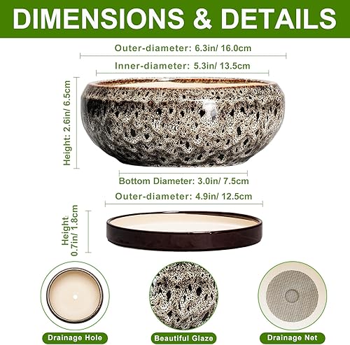 Miniatura 2 de Maceta para suculentas de 6 pulgadas, macetas de cerámica para bonsái con orificio de drenaje y bandeja, maceta poco profunda para interiores y