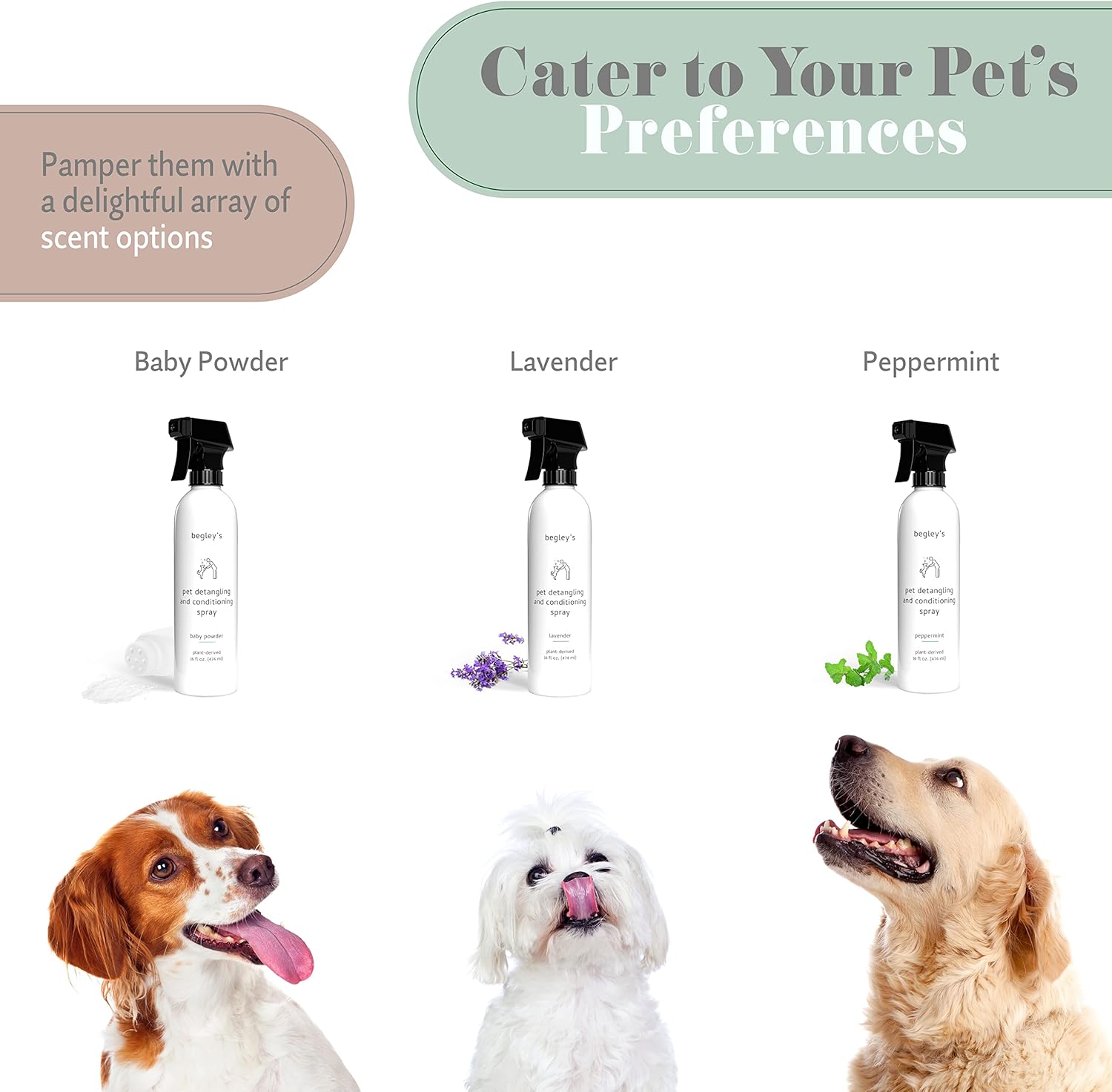 Begley's Pet Detangling Spray - Premium Essential Oil Scented Detangler Spray for Dogs, Puppies & Cats - Dog Leave in Conditioner Spray - Dematting Spray for Dogs & Pets - 16 oz, Lavender