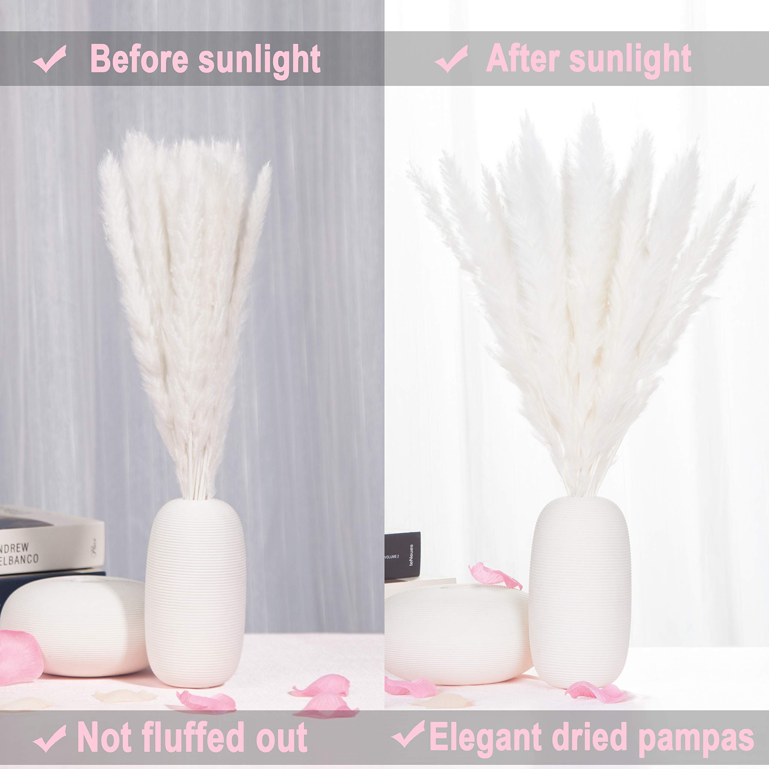 Erba di Pampas grande color crema avorio per decorazione all'ingrosso per il tuo negozio