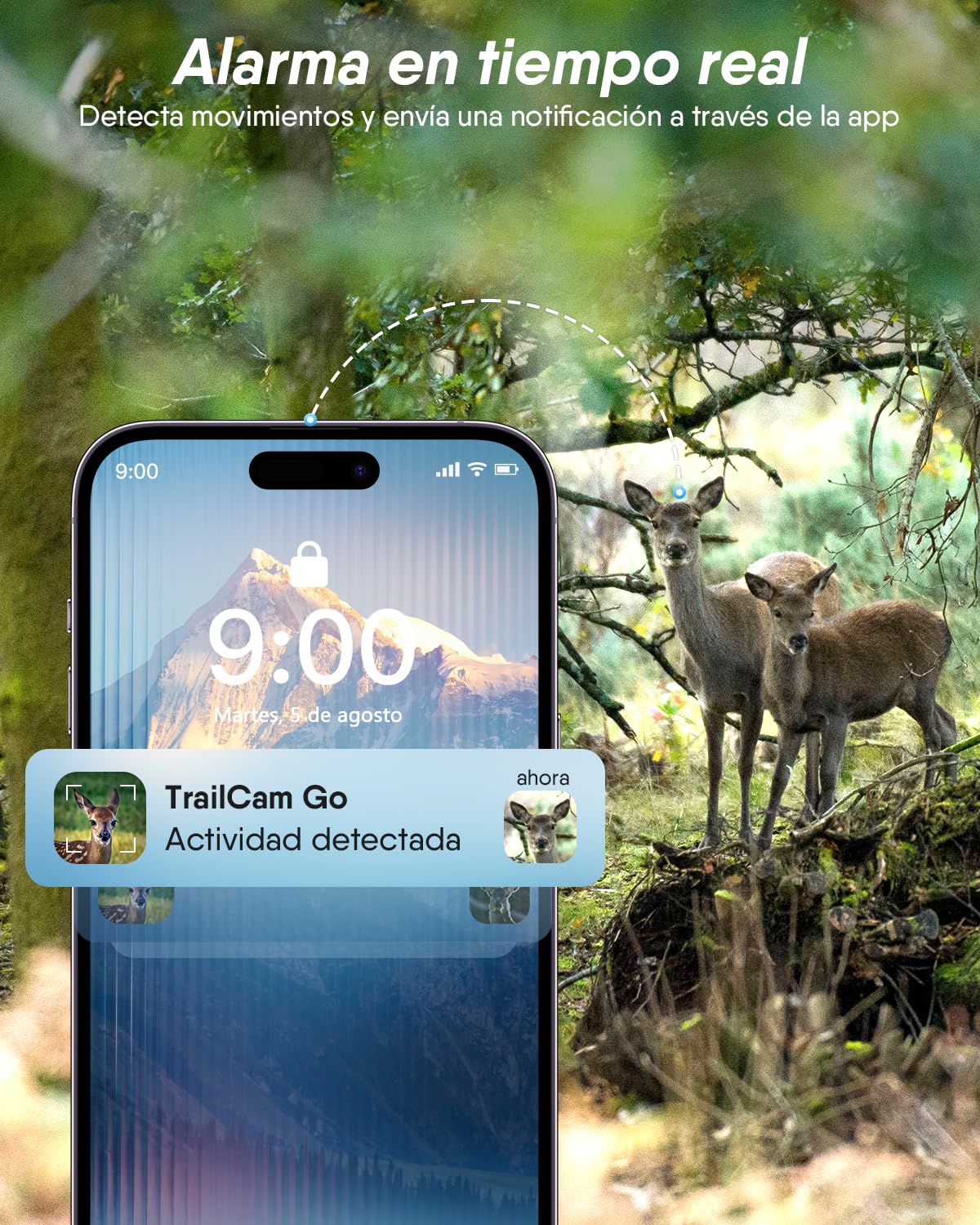 Cámara de Caza 4G Rollei, 4K Camara Fototrampeo con Tarjeta Sim y App y Sensor de Movimiento Cámara de Fotos Trampeo Caza Infrarroja con Visión Nocturna Tarjeta SD de 32GB IP66,Cámara-Caza-Fototrampeo