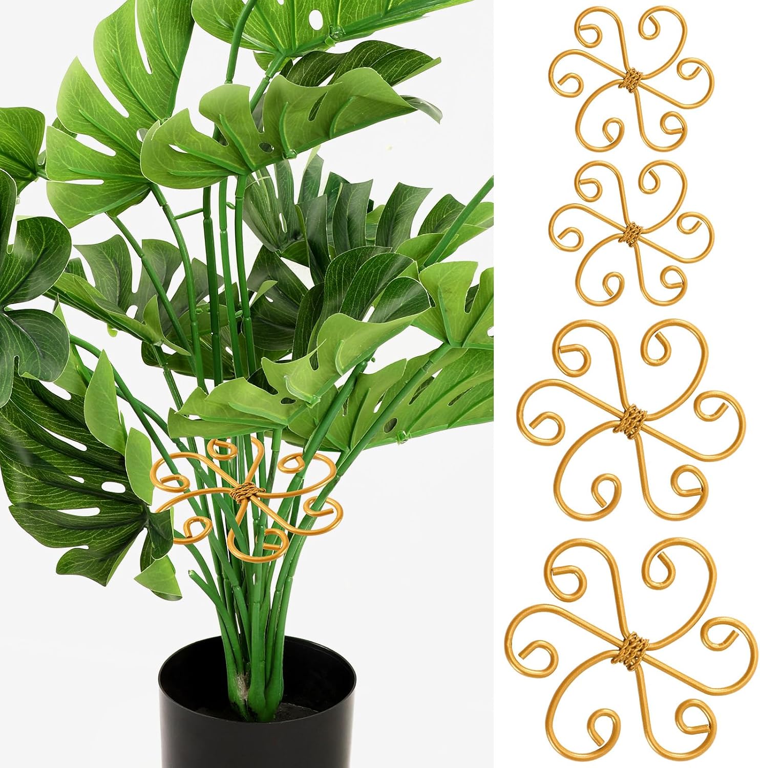 Augshy 4 Pcs Plant Stem Support, 4 Size Gold Metal Monstera Plant Support