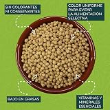 Ver la foto 3