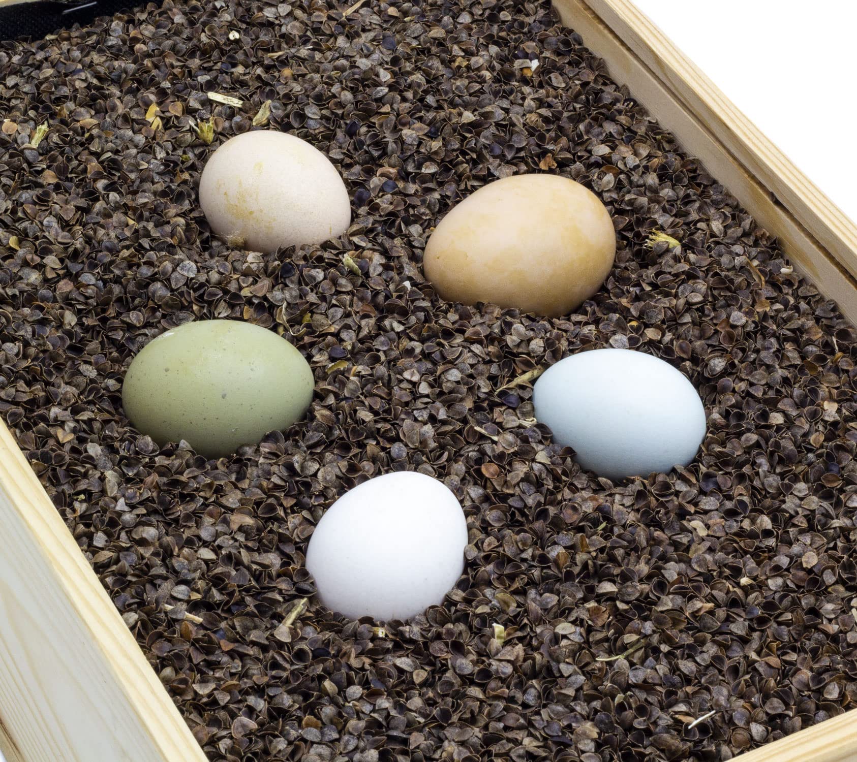Cáscara de trigo sarraceno para nidos 7,5 L - Cama mágica para ponederos - Producto natural para acolchar la cama de las aves de corral - Esconde los huevos para protegerlos de picotazos y suciedad