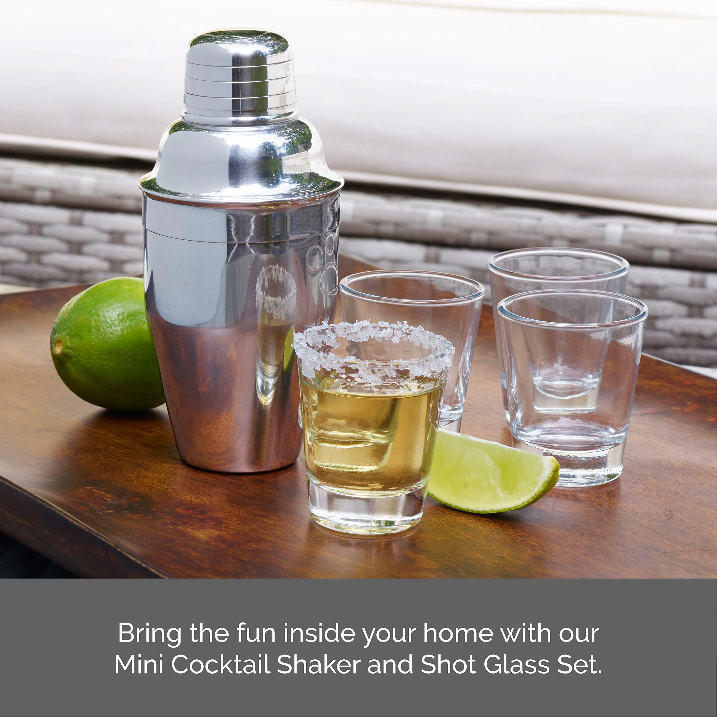 Amazon.com: Houdini Cocktail Shaker and Shot Cup Set, 5 Piece