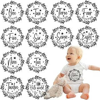 13 Pcs 5.5 Inch Baby Iron On DTF Transfers with Monthly Milestone Designs for Baby Clothes, Onesies, Bodysuits and DIY Photo Outfits