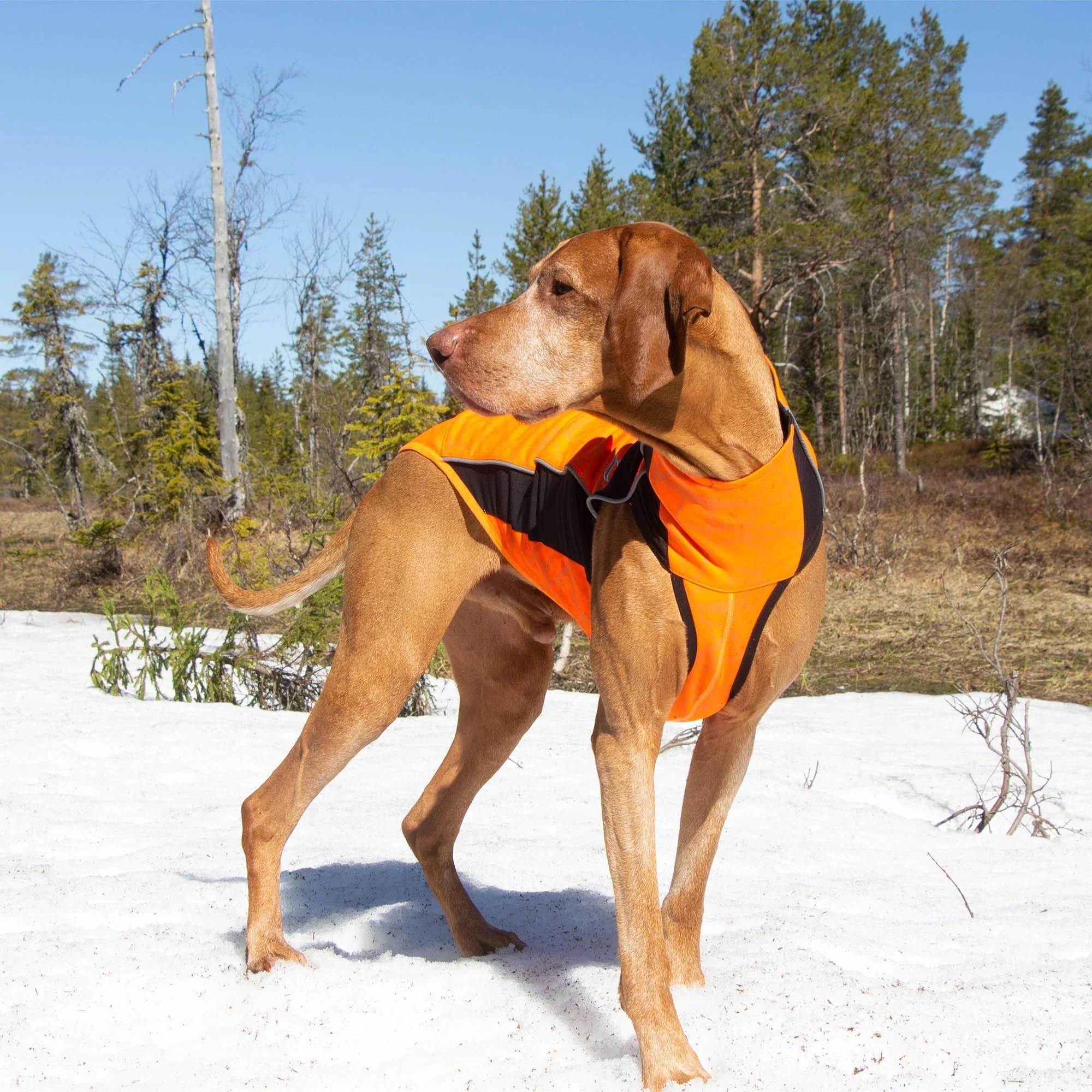 Back on Track Hundepullover Eddie reflektierend (60 cm)